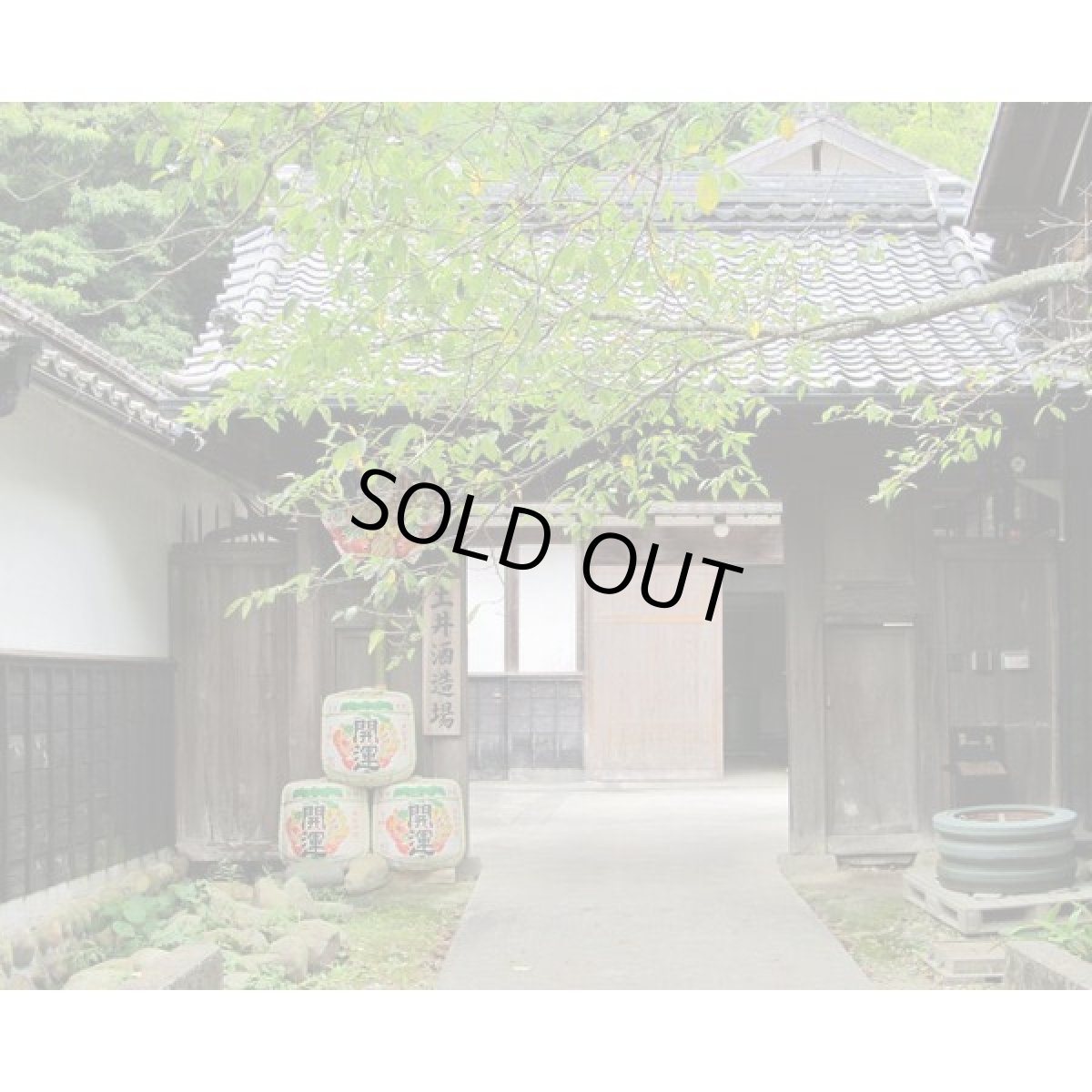 画像6: 祝酒 開運 益々繁盛ボトル 4.5L 日本酒 御祝 贈り物 土井酒造 (6)